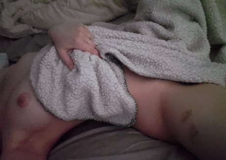 fayewilde pornographic star images