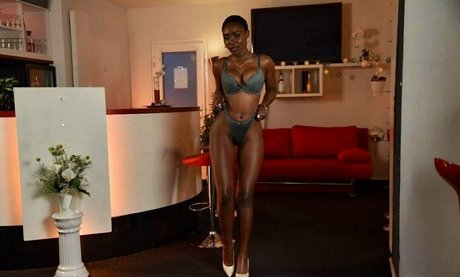 zaawaaditv estrella fotos