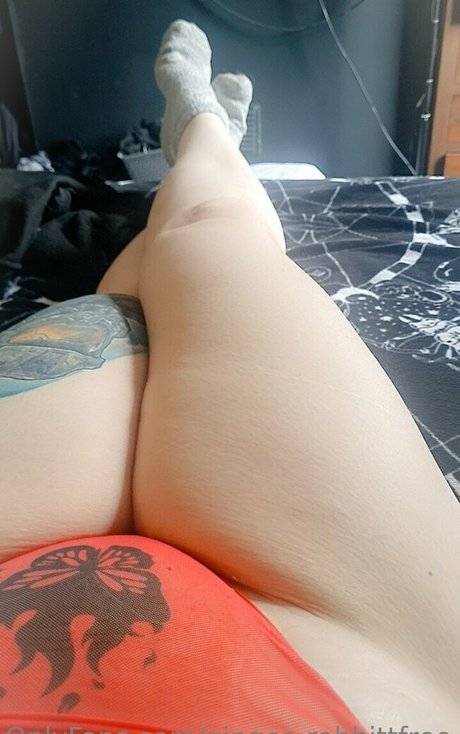 ginger rabbittfree desnudos estrella porno imágenes