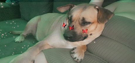 brattyprincess25 modelo libre archivo