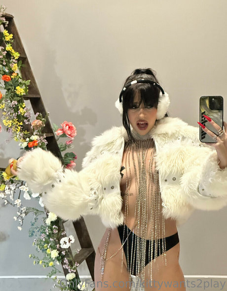 Disko kitty beautiful star gallery