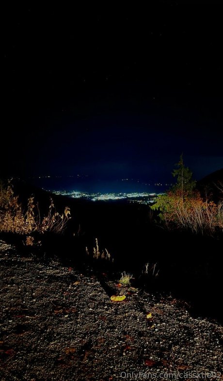 cybercllctr arte estrella porno archivo