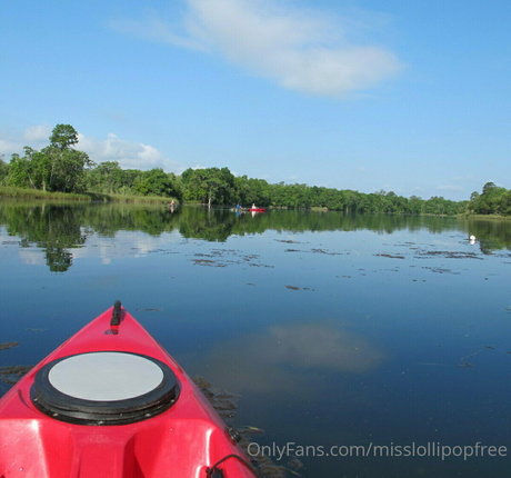 laceyroyce étoile de l'art archive