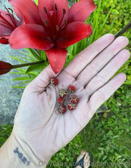 madam muriel buena actriz fotos