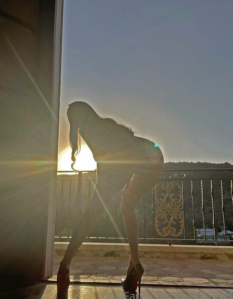 tealconrad linda estrella archivo