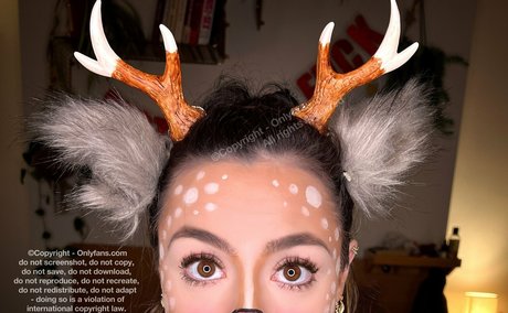 megartron Imagen de perfil