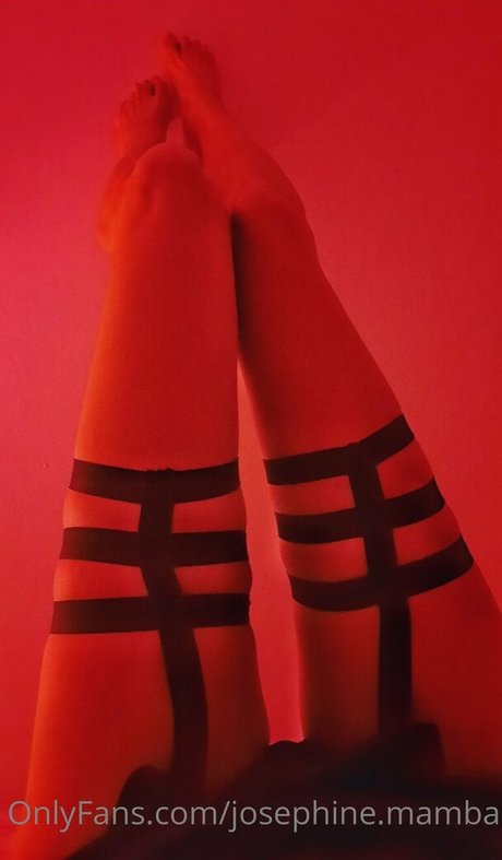 phinemamba étoile adulte img