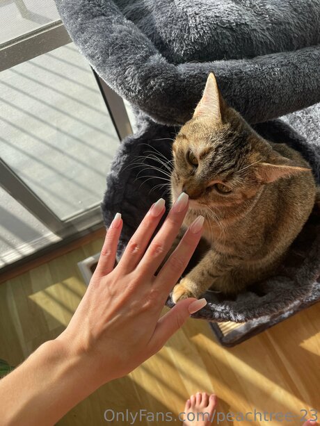 peachtree 23 estrella fotos