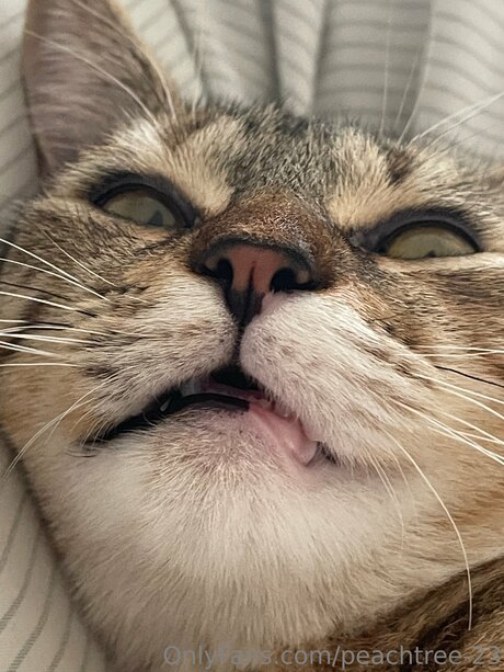 peachtree 23 mejor actriz fotos