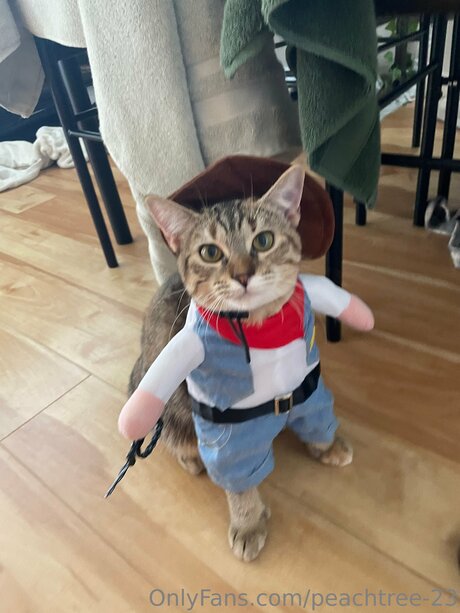 peachtree 23 estrella erótica foto