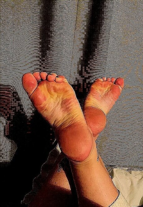 higharches bella buen modelo archivo