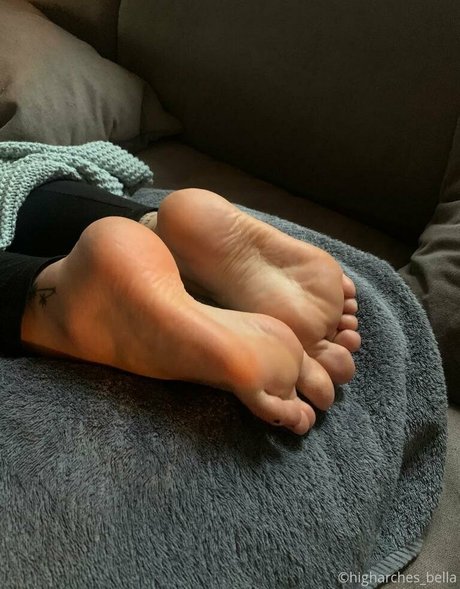 higharches bella estrella porno de arte archivo