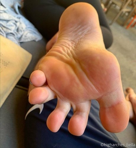 higharches bella actriz porno galería