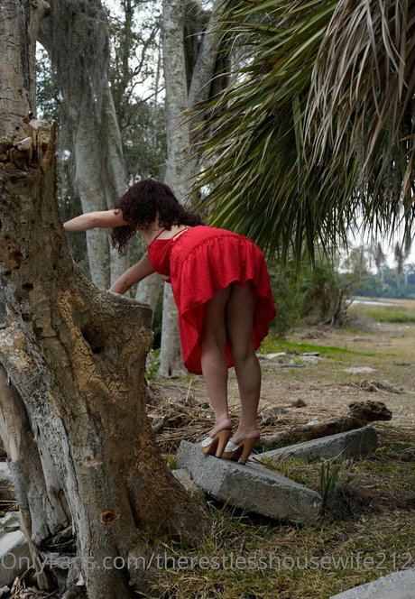 therestlesshousewife2121 actrice adulte collection