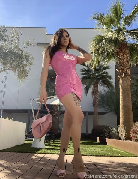 thefelicityfox actriz adulta foto