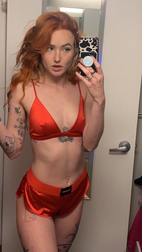 Indoor wilding étoile de l'art galeries