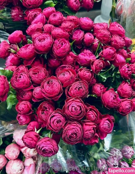 la alegriafree actrice adulte photo