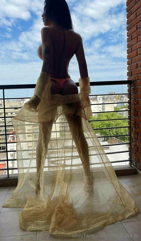 your sofia ts star du porno adulte image