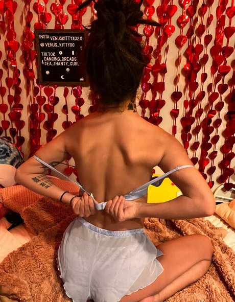 venus kittyxo estrella bonita archivo