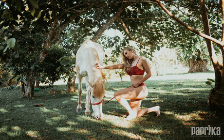 Gabi Marciglio estrella porno atractiva imágenes