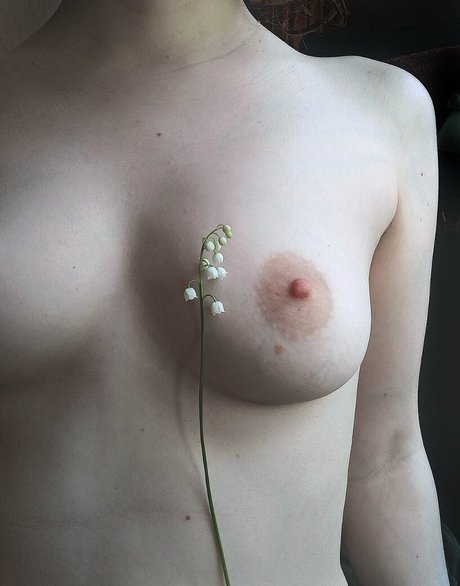 alicenudes actrice adulte img