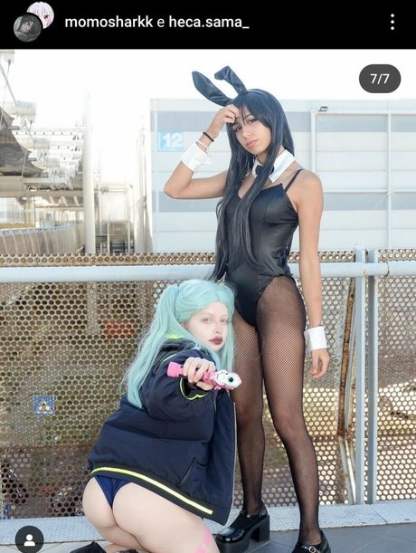 Momosharkk modelo de alta calidad archivo