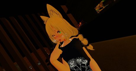 sapifh modèle hd galerie