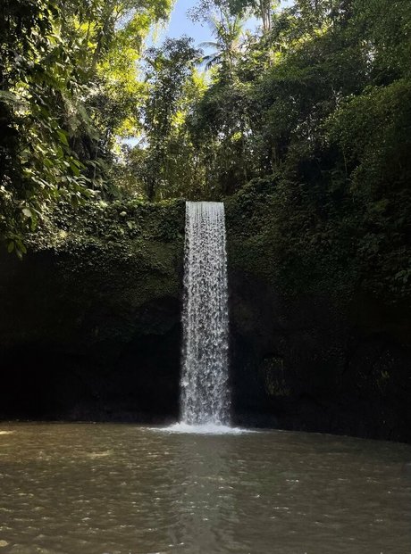 pppoisonnn ivy star du porno collection