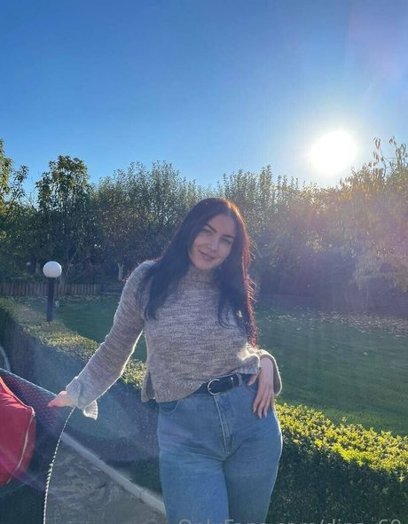 dina 69 libre de estrellas imagen