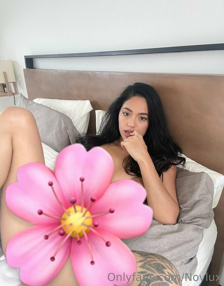 Novlux sexe star du porno image