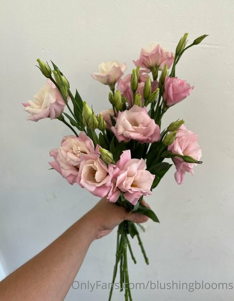 blushingblooms Imagen de perfil
