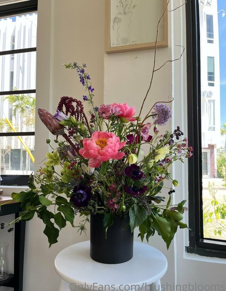 blushingblooms sexe star photos