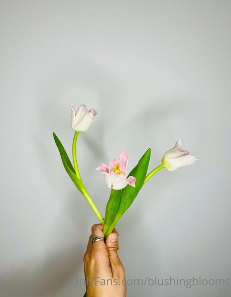 blushingblooms modelo caliente galerías