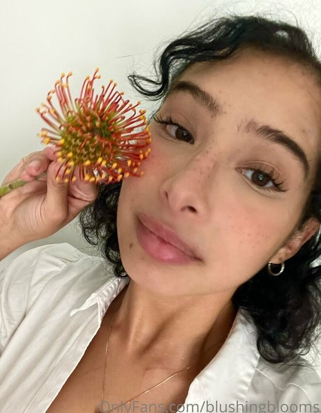 blushingblooms modelo superior imagen