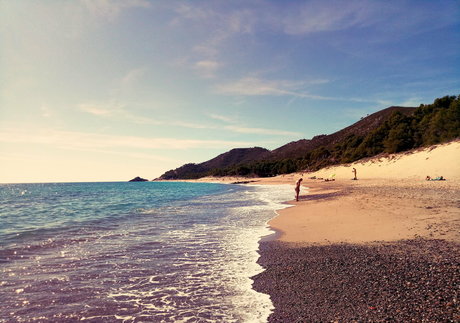 natuvic free estrella caliente archivo