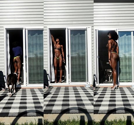 jasdane haut de star du porno photos