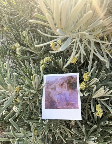 laurenann77 estrella caliente galerías