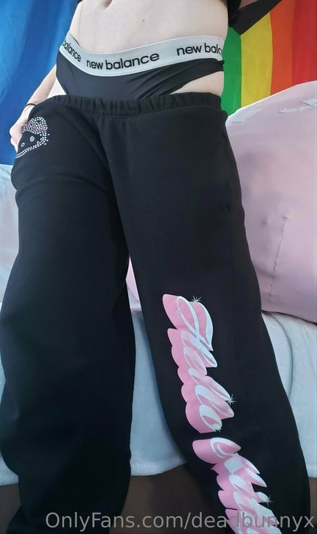 deadbunnyx estrella perfecta galerías