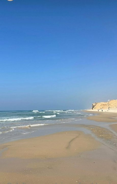 gingerfreckles libre de estrellas imagen