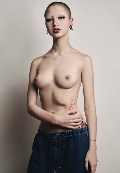 punk doberman modelo de arte galerías