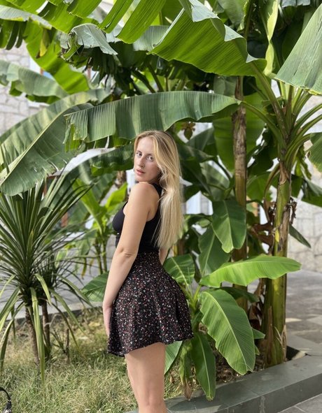 nightivy estrella superior galería