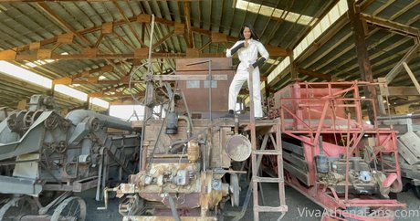 vivaathena estrella porno erótica archivo