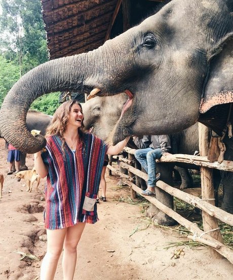 Leighton Wilson linda estrella imagen