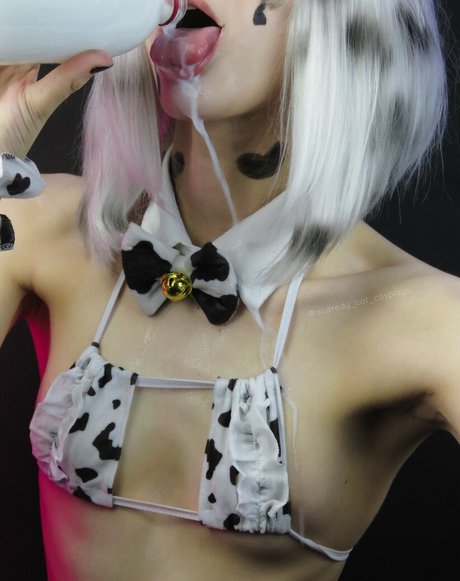 Scaredy Cat Cosplays erotic star picture