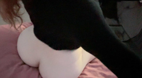 brynnwoods estrella porno bonita galería