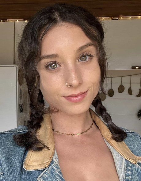 forest fox modelo de arte archivo