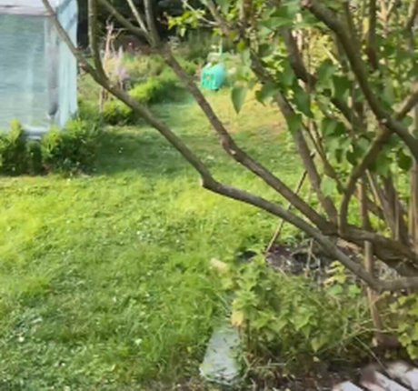 Sexmeat estrella de alta calidad galería