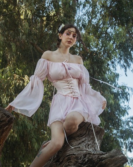 Nico Aroy arte estelar recopilación