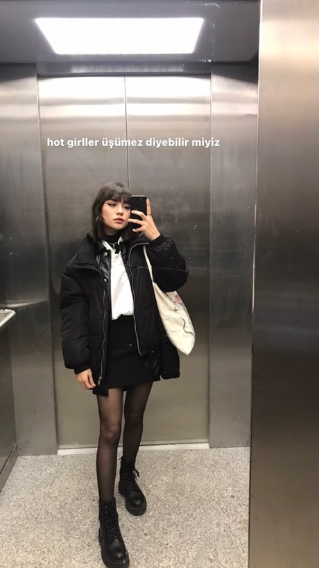 Subaronovv estrella bonita galerías