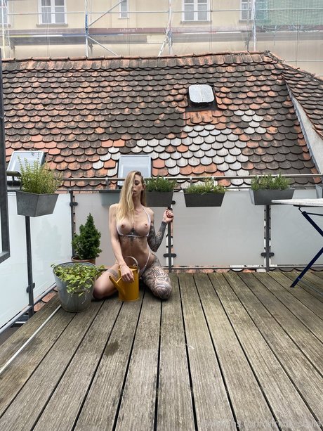 STEFFI_ star nice galleries